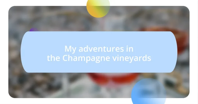 My adventures in the Champagne vineyards