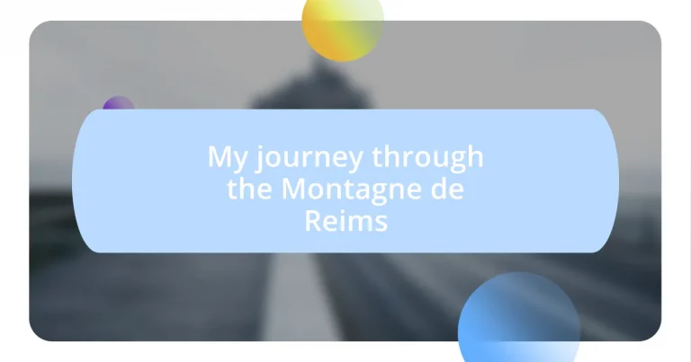 My journey through the Montagne de Reims