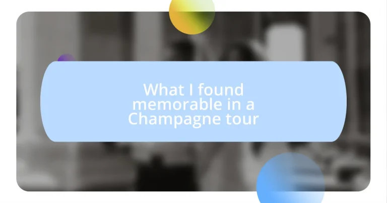 What I found memorable in a Champagne tour